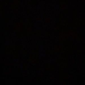 Meet your Posher, George